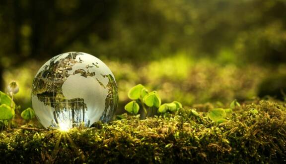 Biodiversité : traitement des incidents impliquant des agents de l’OFB
