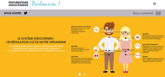 Page d'accueil du site sur les perturbateurs endocriniens