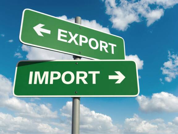 Systèmes d’information douaniers DELTA Import-Export
