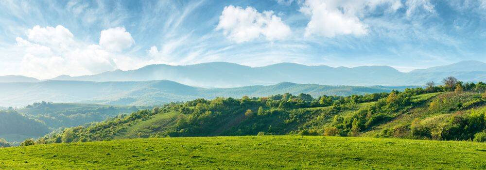 Réduction de la formation de particules fines liées à l'activité du secteur agricole - Amaltis